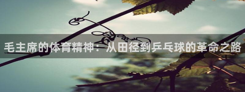 678体育app