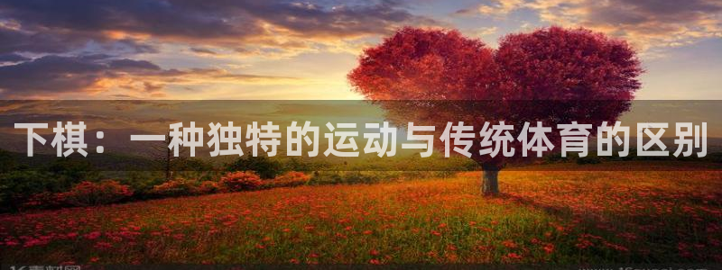 678体育官网