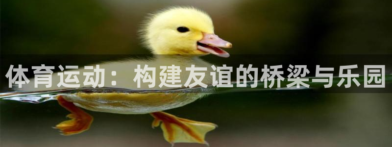 皇冠678体育