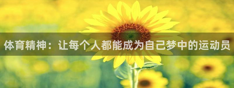 678体育知识