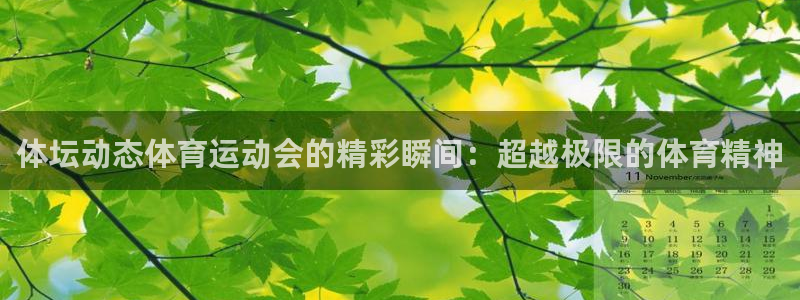 678体育app