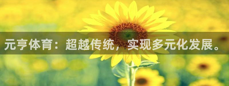 678体育app
