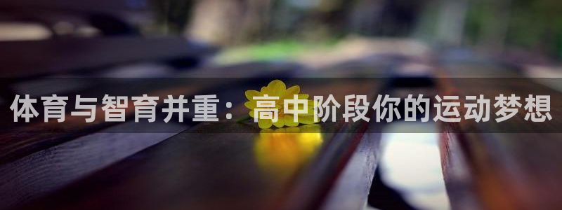 678体育app