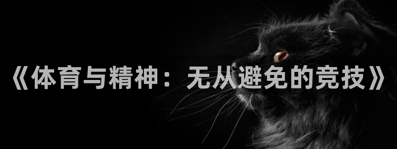 678体育官网地址