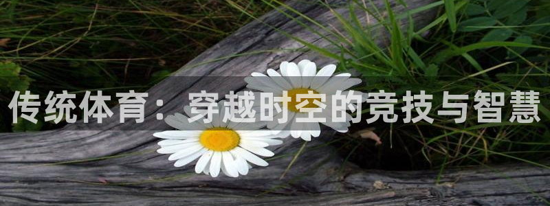 678体育官网