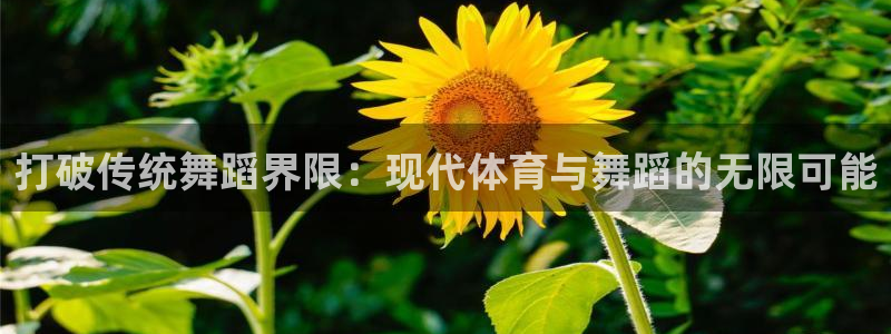 678体育