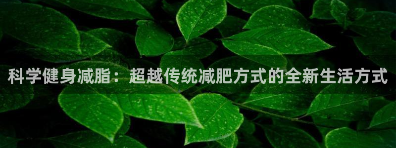 678体育app