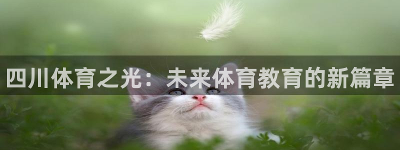 678体育